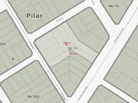 Tratado Del Pilar 100
