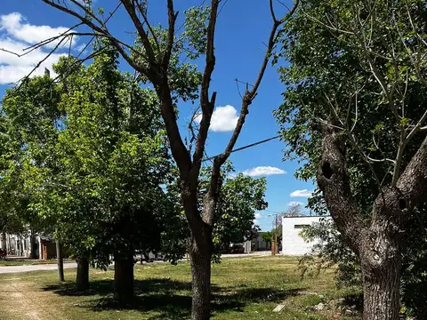 Terreno en Serodino