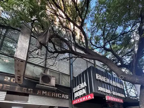 INMEJORABLE ZONA  sobre PEATONAL SAN MARTIN AL 100
