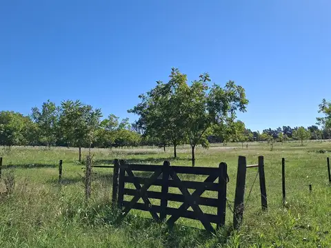 Casa monoambiente en alquiler por 1 año en Condominio Itaca a 14 km. de Capilla del Señor