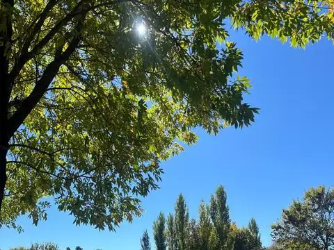 Terreno en Venta de 1510,0 m2