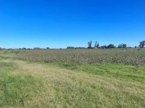 Campo en Venta de 31  ha