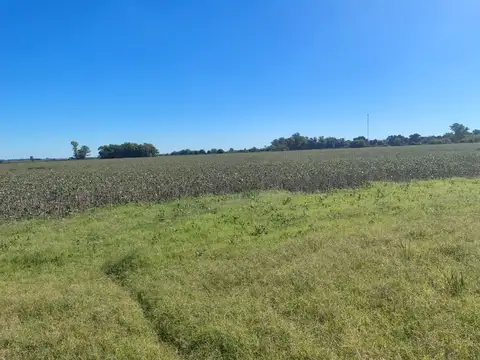 31.2 hectáreas agrícolas en venta, Lima-Zarate.