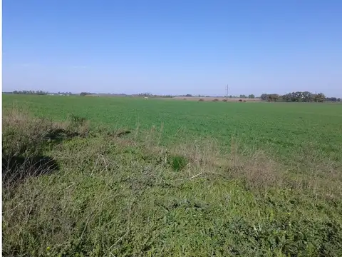 EXCELENTE CAMPO APTO GRANJA (CON HABILITACIÓN DE SENASA)
