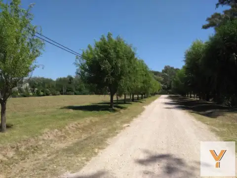 Campos de Roca II
