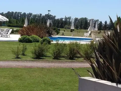 Campos de Roca II