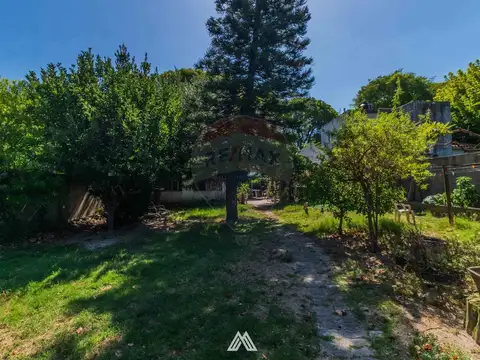 Terreno en Venta en Punta Gorda, USD 475.000