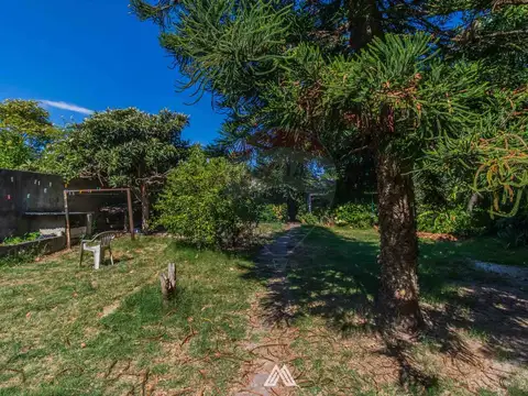 Terreno en Venta en Punta Gorda, USD 475.000