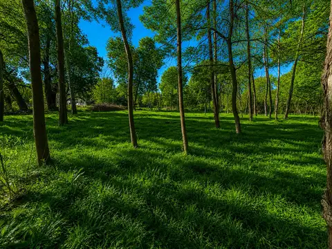 Amarylis Club de Campo, Exaltación de la cruz.-