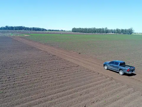 Mar del Plata - Camet - 92 has. Agrícola clase II