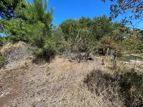 Terreno en Venta en Guazú-Virá, USD 75.000