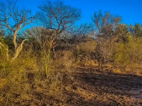 VENTA DE CAMPO EN ARBOL SOLO - SAN LUIS