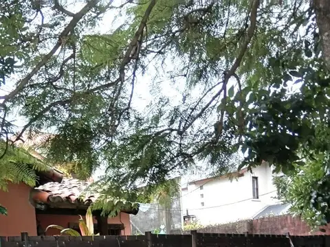 Saavedra 1000