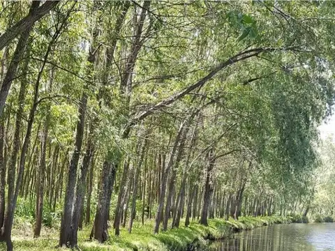 Terreno en Venta en Zarate, USD 41.000