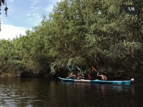 Canal Ñacurutú, Isla, Zarate 34ha