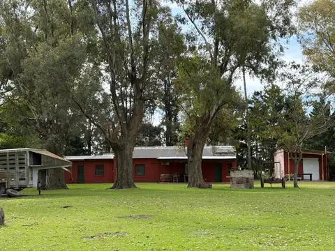 Avenida Libertador San Martin 200