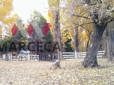 VENTA Estancia Ache-Co 22.260 ha sobre el Embalse Piedra del Águila - Patagonia Argentina