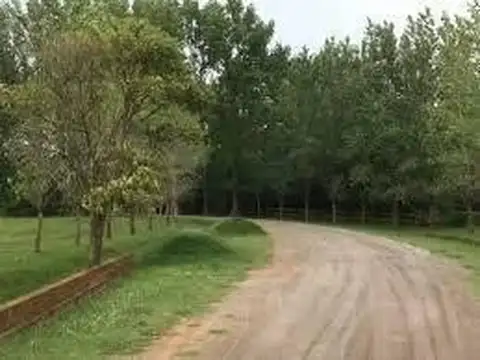 Haras El Malacate