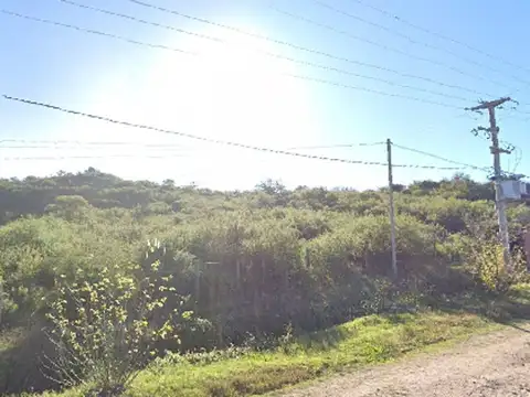 madre terresa de calcuta