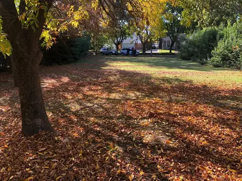 Terreno Lote  en Venta ubicado en Alamo Alto, Escobar, G.B.A. Zona Norte