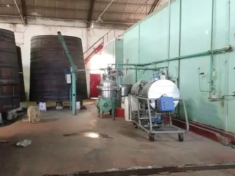 En Venta, Predio de 3.31 Ha, Frente a Ruta 22, General Roca