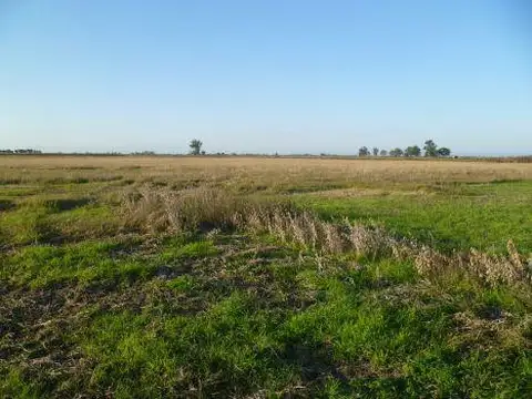 33 Has Zona Bella Italia