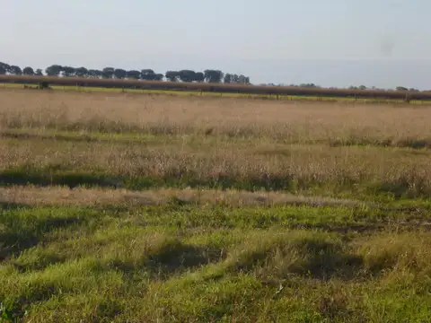 Campo - Bella Italia