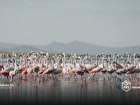 Terreno en Venta en El Nihuil, USD 5.000