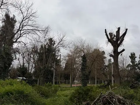 Terreno en Venta 26  mts Fondo
