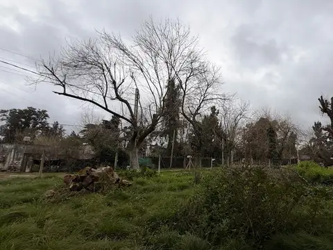 Julio Argenrtino Roca Barrio Parque Argentina