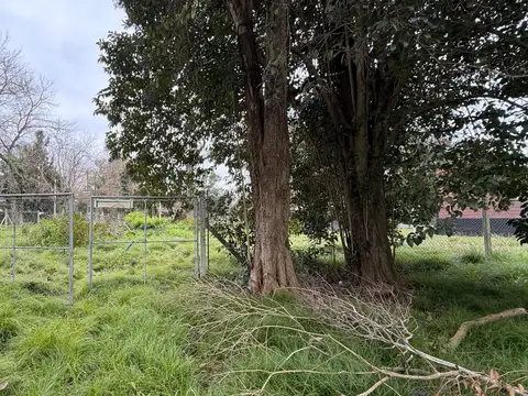 Terreno en Venta 32  mts Frente