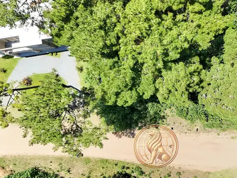 De La Deriva al 2800