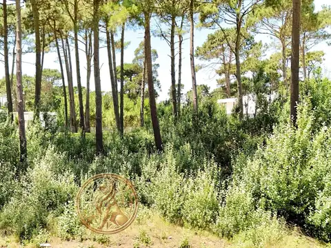 Terreno en Venta en Pinamar, USD 95.000