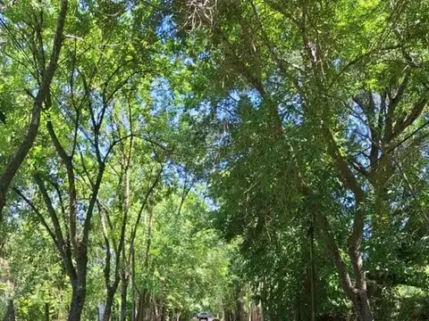 Terreno en Venta en Villa La Nata, USD 160.000
