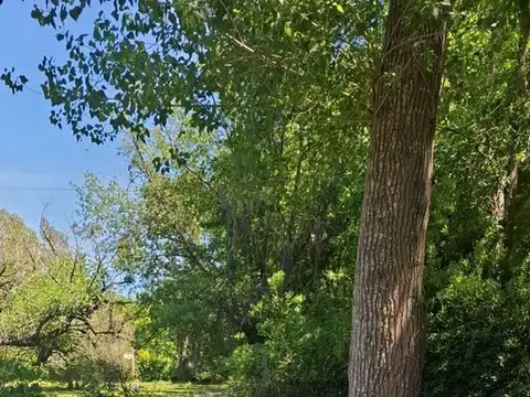 Terreno Lote  en Venta en Villa la Ñata, Dique Luján, Tigre