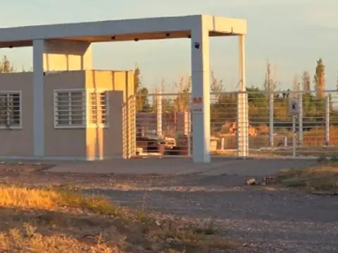 Terreno en Venta en Pocito, USD 13.000