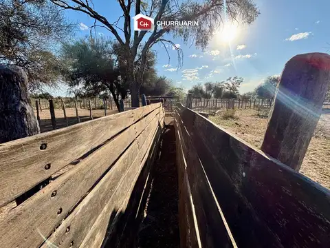Campo en venta en Garza, Santiago del Estero