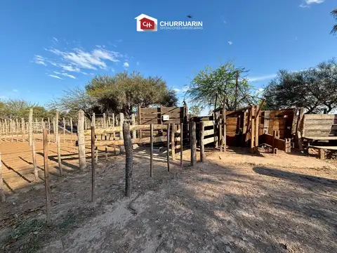 Campo en venta en Garza - Santiago del Estero