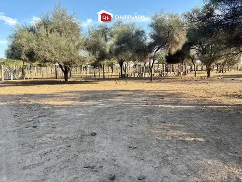 Campo en venta en Garza - Santiago del Estero