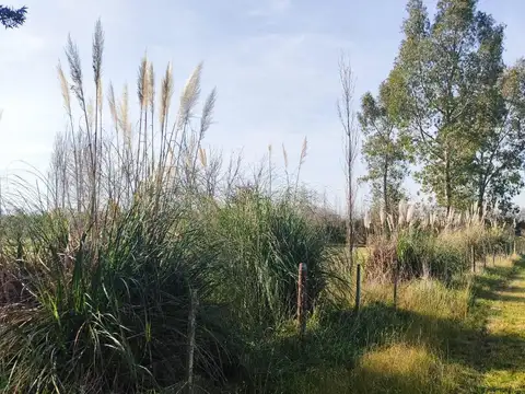 Terreno en Estancias Las Lilas