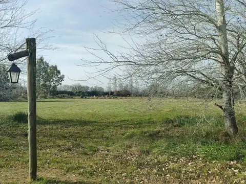 Terreno en Estancias Las Lilas