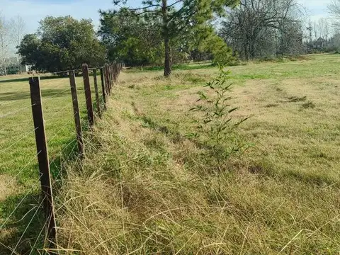 Terreno en Venta 100  mts Fondo