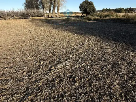   VENTA - 2 LOTES QUINTA - 3 HAS C/U - COLONIA CAROYA