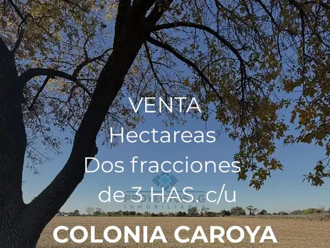   VENTA - 2 LOTES QUINTA - 3 HAS C/U - COLONIA CAROYA