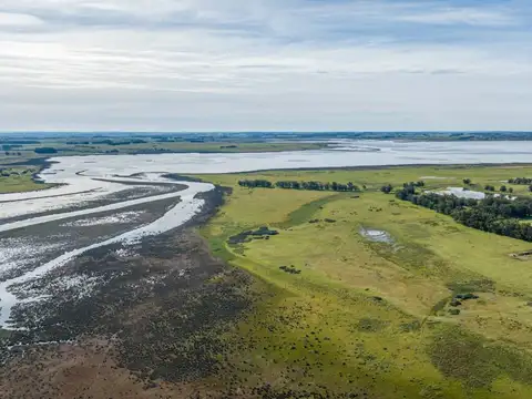 Chacra en venta de 39 Has. sobre Laguna José Ignacio 100