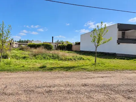 Terreno en Venta 31  mts Fondo