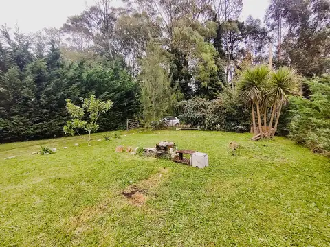 VENTA | APTO CREDITO | CASA 2 AMB CON GRAN JARDIN | ZONA BOSQUE