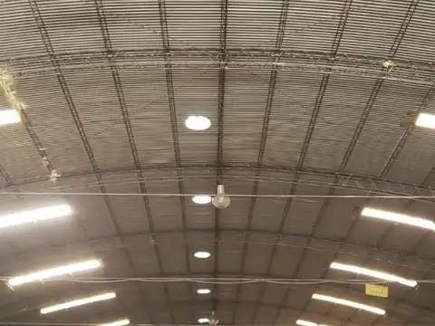 Alquilo predio sobre Ruta 22 - Galpon 2000 m2 - Cipoletti