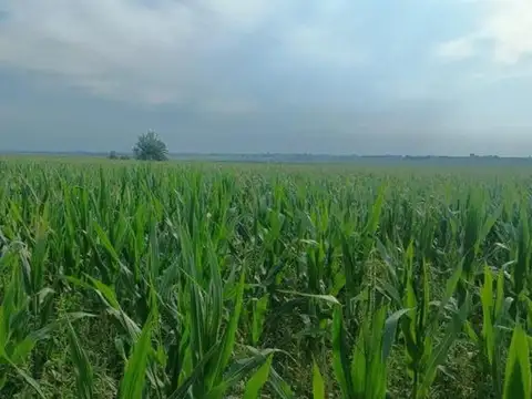 Campo mixto en Crucecita Séptima