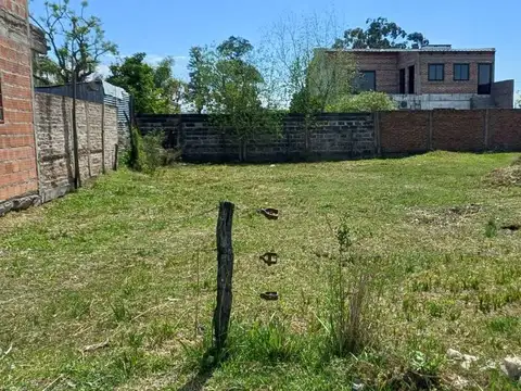 G. Pando 400